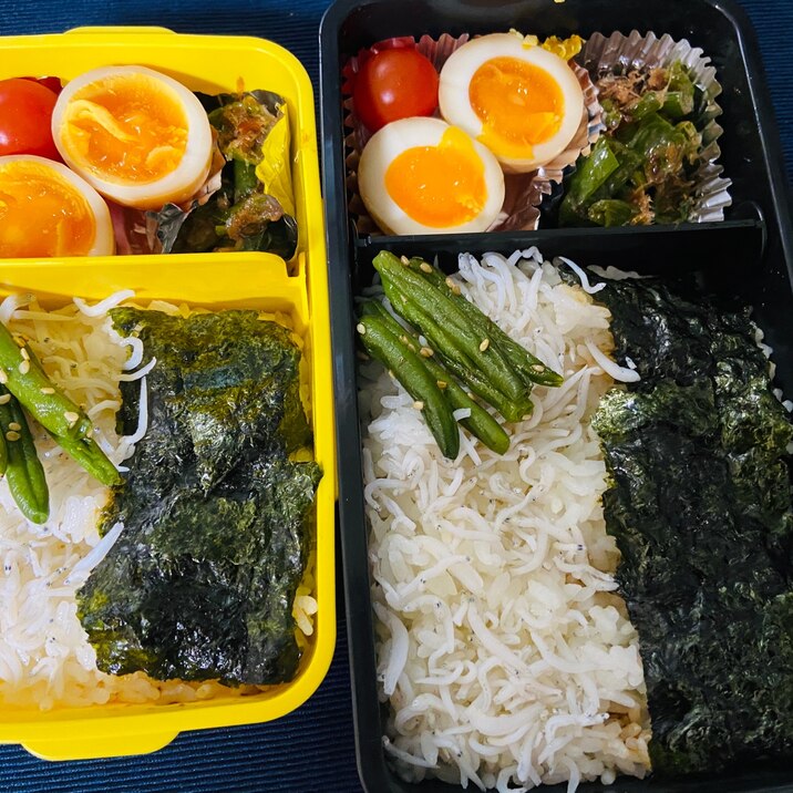 【弁当】肉無しで作る海苔シラス弁当